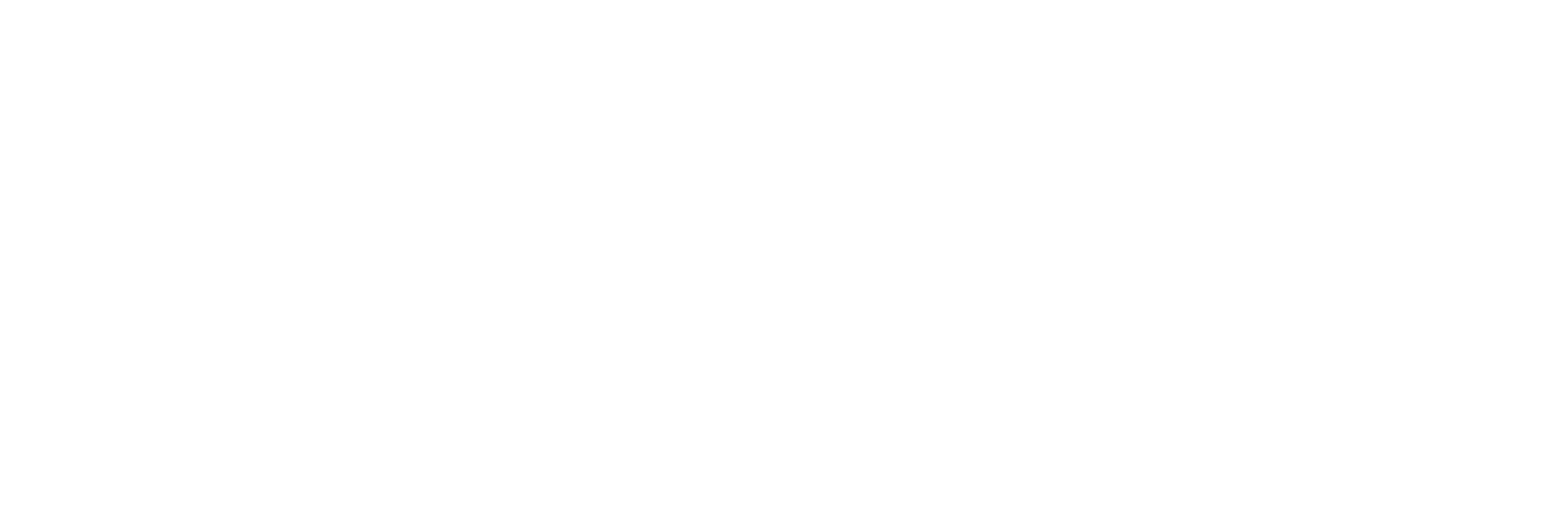 Websvibe Digital Marketing Agency